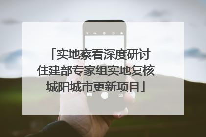 实地察看深度研讨 住建部专家组实地复核城阳城市更新项目