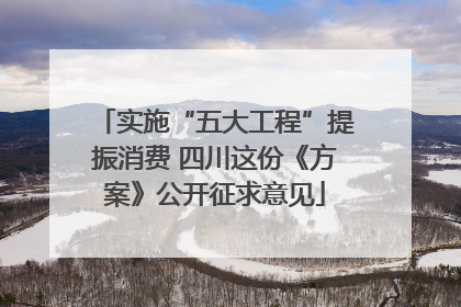 实施“五大工程”提振消费 四川这份《方案》公开征求意见