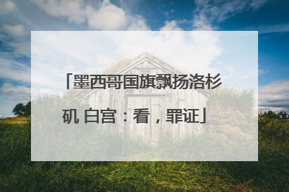 墨西哥国旗飘扬洛杉矶 白宫：看，罪证