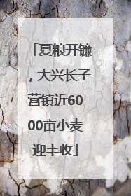 夏粮开镰，大兴长子营镇近6000亩小麦迎丰收