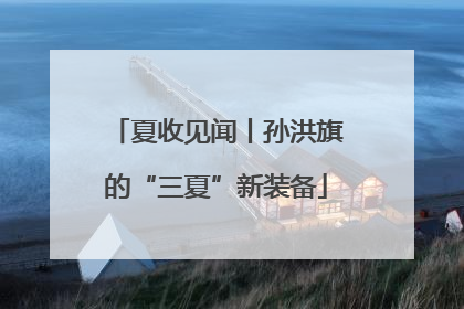 夏收见闻丨孙洪旗的“三夏”新装备