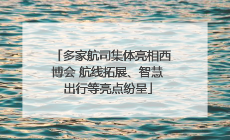 多家航司集体亮相西博会 航线拓展、智慧出行等亮点纷呈
