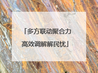 多方联动聚合力 高效调解解民忧