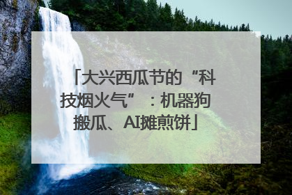 大兴西瓜节的“科技烟火气”：机器狗搬瓜、AI摊煎饼