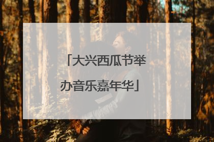 大兴西瓜节举办音乐嘉年华