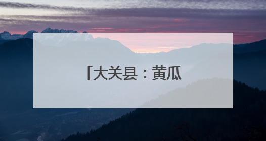 大关县：黄瓜触网销路宽
