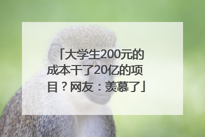 大学生200元的成本干了20亿的项目？网友：羡慕了