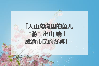 大山沟沟里的鱼儿 “游”出山 端上成渝市民的餐桌