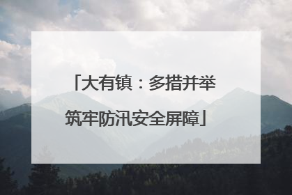 大有镇：多措并举筑牢防汛安全屏障