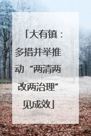 大有镇：多措并举推动“两清两改两治理”见成效