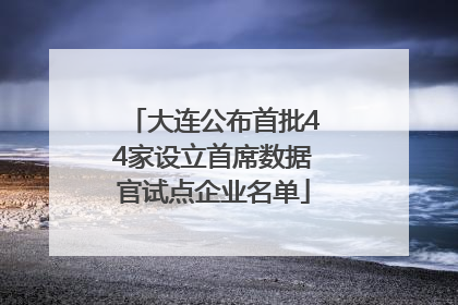 大连公布首批44家设立首席数据官试点企业名单