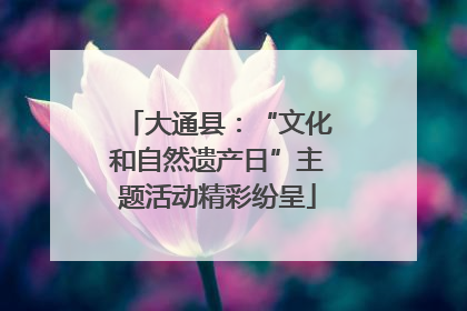 大通县：“文化和自然遗产日”主题活动精彩纷呈