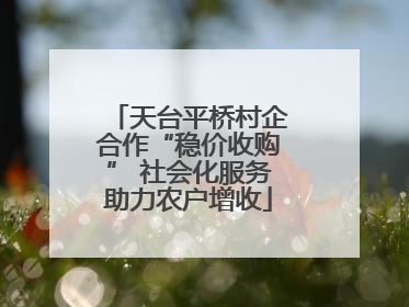 天台平桥村企合作“稳价收购” 社会化服务助力农户增收