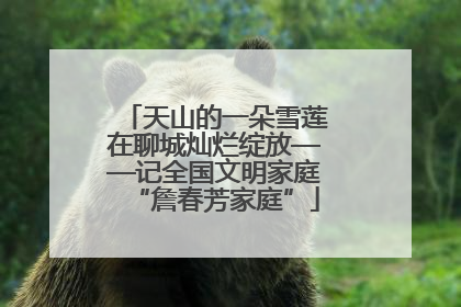 天山的一朵雪莲在聊城灿烂绽放——记全国文明家庭“詹春芳家庭”