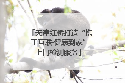 天津红桥打造“携手互联·健康到家”上门检测服务