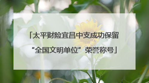 太平财险宜昌中支成功保留“全国文明单位”荣誉称号