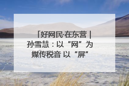 好网民·在东营｜孙雪慧：以“网”为媒传税音 以“屏”为介助发展