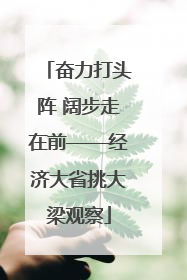 奋力打头阵 阔步走在前——经济大省挑大梁观察