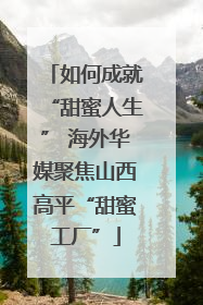 如何成就“甜蜜人生” 海外华媒聚焦山西高平“甜蜜工厂”