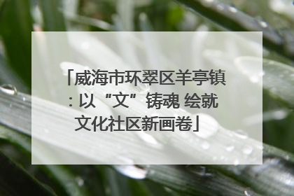 威海市环翠区羊亭镇：以“文”铸魂 绘就文化社区新画卷