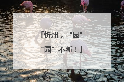 忻州，“园”“园”不断！