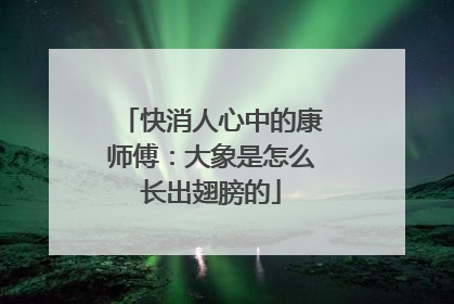 快消人心中的康师傅：大象是怎么长出翅膀的