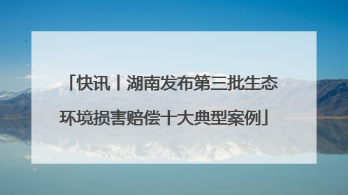 快讯丨湖南发布第三批生态环境损害赔偿十大典型案例