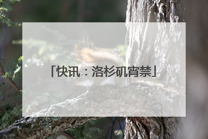 快讯：洛杉矶宵禁