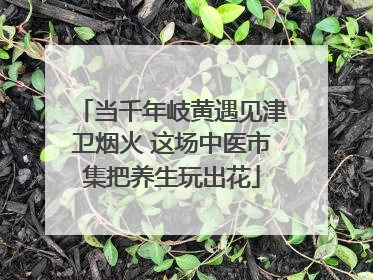 当千年岐黄遇见津卫烟火 这场中医市集把养生玩出花