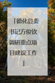 德化县委书记方俊钦调研重点项目建设工作