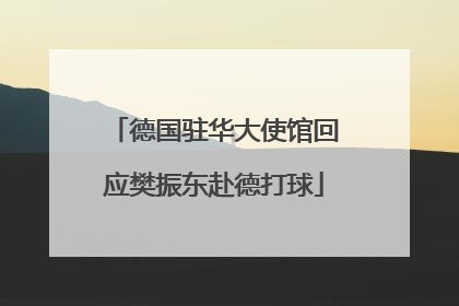 德国驻华大使馆回应樊振东赴德打球