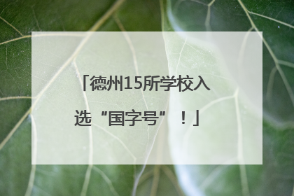 德州15所学校入选“国字号”！