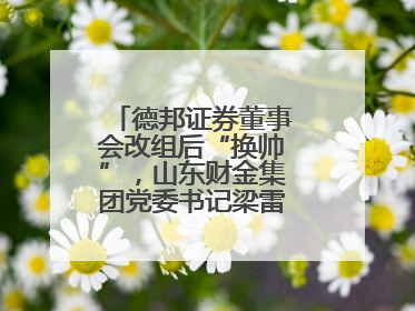 德邦证券董事会改组后“换帅”，山东财金集团党委书记梁雷出任董事长