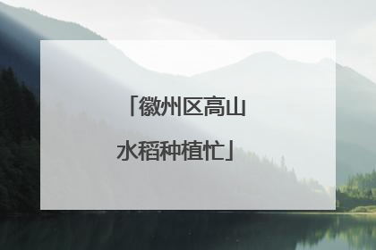 徽州区高山水稻种植忙