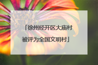 徐州经开区大庙村被评为全国文明村