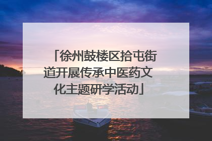 徐州鼓楼区拾屯街道开展传承中医药文化主题研学活动