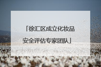 徐汇区成立化妆品安全评估专家团队