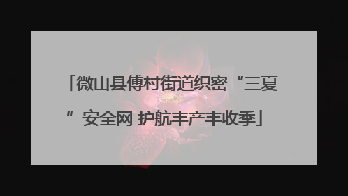 微山县傅村街道织密“三夏”安全网 护航丰产丰收季