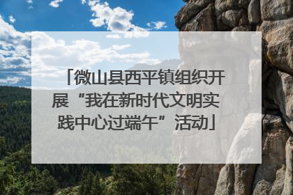 微山县西平镇组织开展“我在新时代文明实践中心过端午”活动