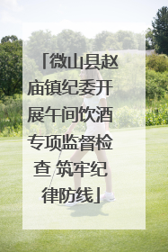 微山县赵庙镇纪委开展午间饮酒专项监督检查 筑牢纪律防线
