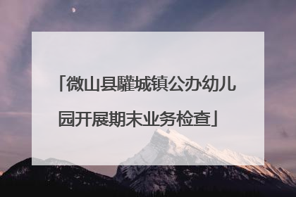 微山县驩城镇公办幼儿园开展期末业务检查