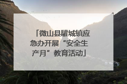 微山县驩城镇应急办开展“安全生产月”教育活动