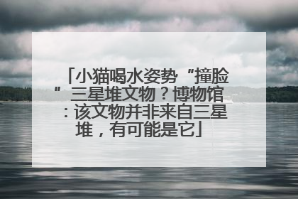 小猫喝水姿势“撞脸”三星堆文物？博物馆：该文物并非来自三星堆，有可能是它