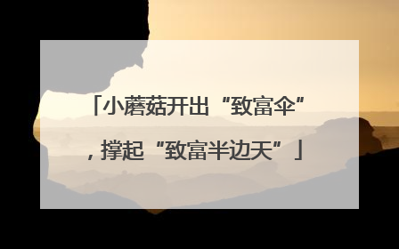 小蘑菇开出“致富伞”，撑起“致富半边天”