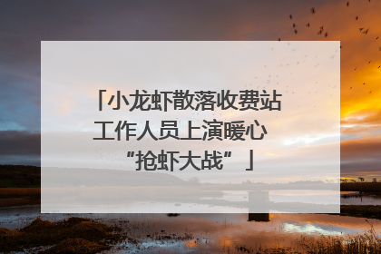 小龙虾散落收费站 工作人员上演暖心“抢虾大战”