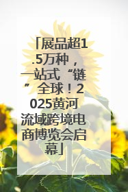 展品超1.5万种，一站式“链”全球！2025黄河流域跨境电商博览会启幕