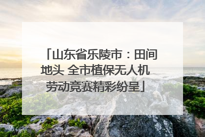 山东省乐陵市：田间地头 全市植保无人机劳动竞赛精彩纷呈