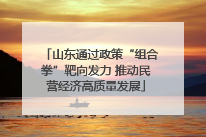 山东通过政策“组合拳”靶向发力 推动民营经济高质量发展