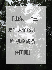 山东：“三夏”大忙将开始 机收减损在田间