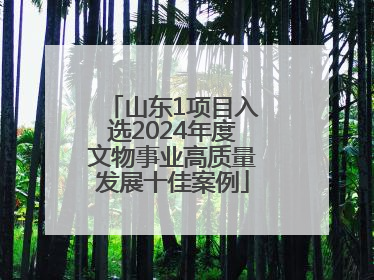 山东1项目入选2024年度文物事业高质量发展十佳案例